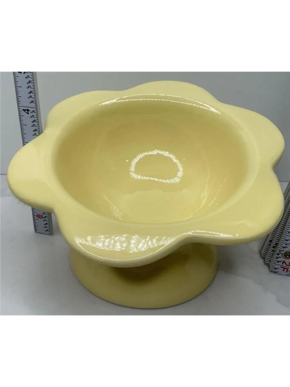 Rare Rockybear Pets Ceramic Food Bowl Elevated 4